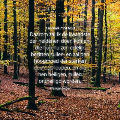 Picture 04 - Ezechiël 7:24 NLD - Daarom zal Ik de kwaadste der heidenen doen - Bible Verse Picture