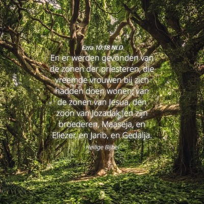 Picture 04 - Ezra 10:18 NLD - En er werden gevonden van de zonen der - Bible Verse Picture