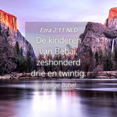 Picture 04 - Ezra 2:11 NLD - De kinderen van Bebai, zeshonderd drie en - Bible Verse Picture