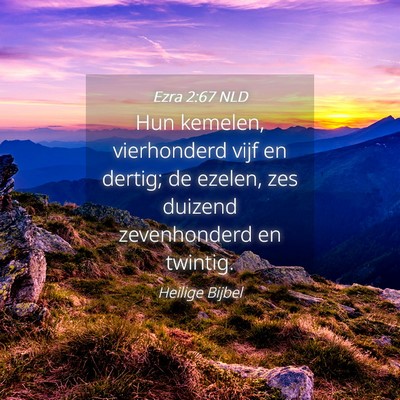 Picture 04 - Ezra 2:67 NLD - Hun kemelen, vierhonderd vijf en dertig; de - Bible Verse Picture