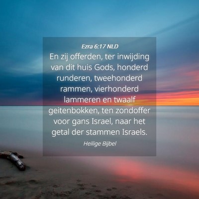 Picture 04 - Ezra 6:17 NLD - En zij offerden, ter inwijding van dit huis Gods, - Bible Verse Picture