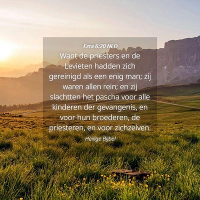 Picture 04 - Ezra 6:20 NLD - Want de priesters en de Levieten hadden zich - Bible Verse Picture