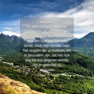 Picture 04 - Ezra 6:9 NLD - En wat nodig is, als jonge runderen, en rammen, - Bible Verse Picture