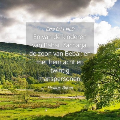 Picture 04 - Ezra 8:11 NLD - En van de kinderen van Babai, Zacharja, de zoon - Bible Verse Picture