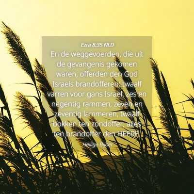 Picture 04 - Ezra 8:35 NLD - En de weggevoerden, die uit de gevangenis gekomen - Bible Verse Picture