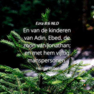 Picture 04 - Ezra 8:6 NLD - En van de kinderen van Adin, Ebed, de zoon van - Bible Verse Picture