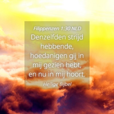 Picture 04 - Filippenzen 1:30 NLD - Denzelfden strijd hebbende, hoedanigen gij in mij - Bible Verse Picture