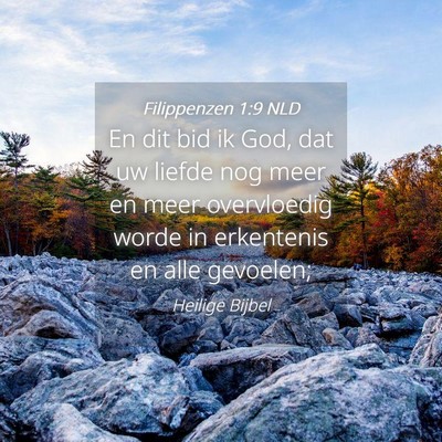 Picture 04 - Filippenzen 1:9 NLD - En dit bid ik God, dat uw liefde nog meer en meer - Bible Verse Picture
