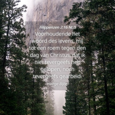 Picture 04 - Filippenzen 2:16 NLD - Voorhoudende het woord des levens, mij tot een - Bible Verse Picture
