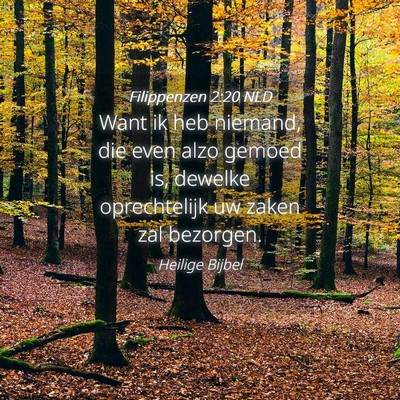 Picture 04 - Filippenzen 2:20 NLD - Want ik heb niemand, die even alzo gemoed is, - Bible Verse Picture