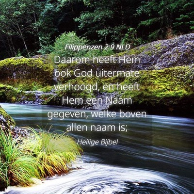Picture 04 - Filippenzen 2:9 NLD - Daarom heeft Hem ook God uitermate verhoogd, en - Bible Verse Picture