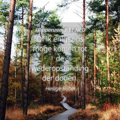 Picture 04 - Filippenzen 3:11 NLD - Of ik enigszins moge komen tot de wederopstanding - Bible Verse Picture