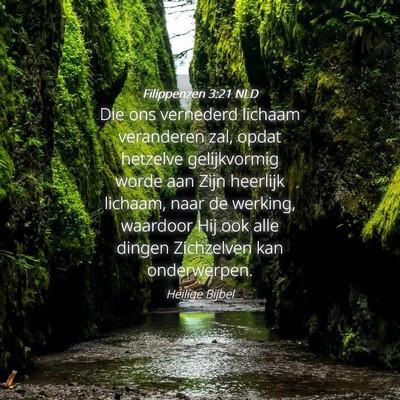 Picture 04 - Filippenzen 3:21 NLD - Die ons vernederd lichaam veranderen zal, opdat - Bible Verse Picture