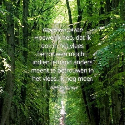 Picture 04 - Filippenzen 3:4 NLD - Hoewel ik heb, dat ik ook in het vlees betrouwen - Bible Verse Picture