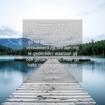Picture 04 - Filippenzen 4:10 NLD - En ik ben grotelijks verblijd geweest in den - Bible Verse Picture