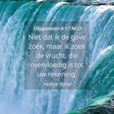 Picture 04 - Filippenzen 4:17 NLD - Niet dat ik de gave zoek, maar ik zoek de vrucht, - Bible Verse Picture