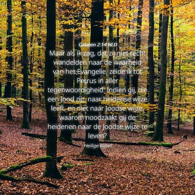 Picture 04 - Galaten 2:14 NLD - Maar als ik zag, dat zij niet recht wandelden - Bible Verse Picture