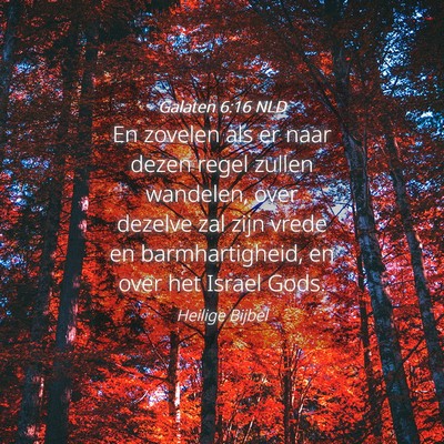 Picture 04 - Galaten 6:16 NLD - En zovelen als er naar dezen regel zullen - Bible Verse Picture