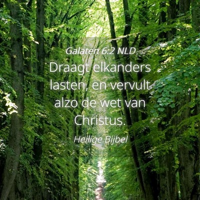 Picture 04 - Galaten 6:2 NLD - Draagt elkanders lasten, en vervult alzo de wet - Bible Verse Picture