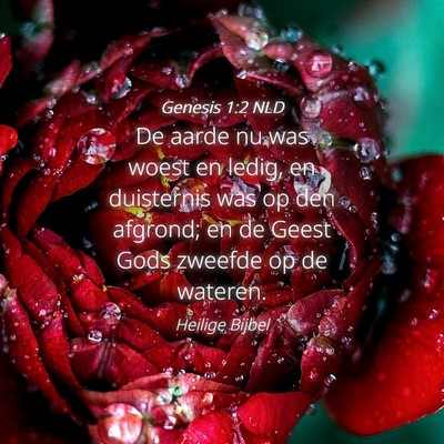 Picture 04 - Genesis 1:2 NLD - De aarde nu was woest en ledig, en duisternis was - Bible Verse Picture