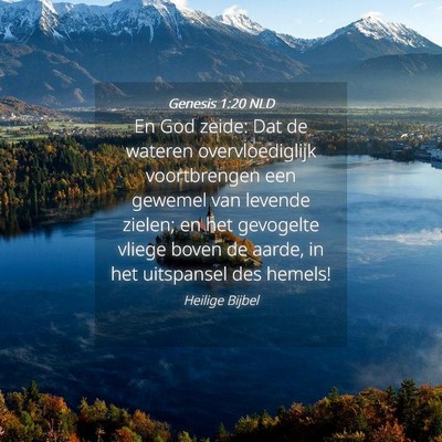 Picture 04 - Genesis 1:20 NLD - En God zeide: Dat de wateren overvloediglijk - Bible Verse Picture