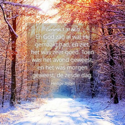 Picture 04 - Genesis 1:31 NLD - En God zag al wat Hij gemaakt had, en ziet, het - Bible Verse Picture