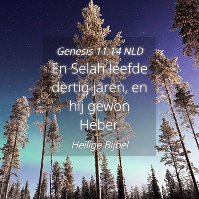 Picture 04 - Genesis 11:14 NLD - En Selah leefde dertig jaren, en hij gewon - Bible Verse Picture