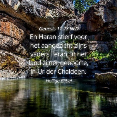 Picture 04 - Genesis 11:28 NLD - En Haran stierf voor het aangezicht zijns vaders - Bible Verse Picture