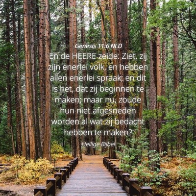Picture 04 - Genesis 11:6 NLD - En de HEERE zeide: Ziet, zij zijn enerlei volk, - Bible Verse Picture