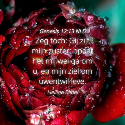 Picture 04 - Genesis 12:13 NLD - Zeg toch: Gij zijt mijn zuster; opdat het mij wel - Bible Verse Picture