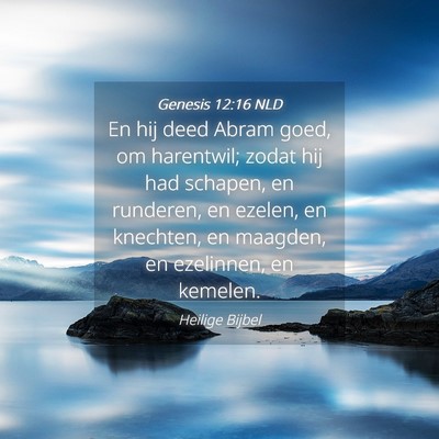 Picture 04 - Genesis 12:16 NLD - En hij deed Abram goed, om harentwil; zodat hij - Bible Verse Picture