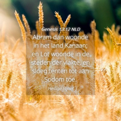 Picture 04 - Genesis 13:12 NLD - Abram dan woonde in het land Kanaan; en Lot - Bible Verse Picture