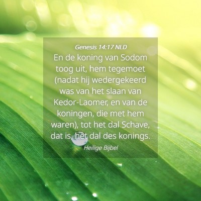 Picture 04 - Genesis 14:17 NLD - En de koning van Sodom toog uit, hem tegemoet - Bible Verse Picture