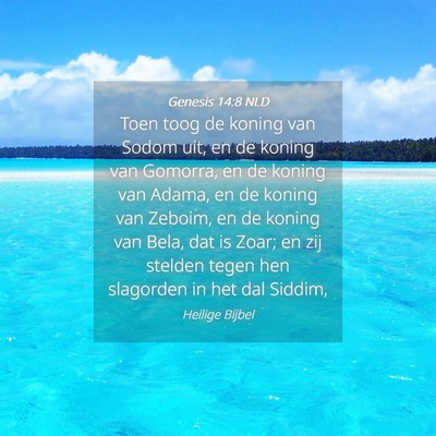 Picture 04 - Genesis 14:8 NLD - Toen toog de koning van Sodom uit, en de koning - Bible Verse Picture
