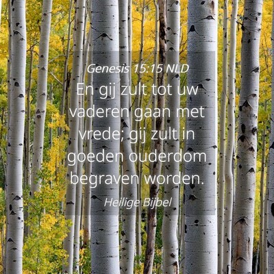 Picture 04 - Genesis 15:15 NLD - En gij zult tot uw vaderen gaan met vrede; gij - Bible Verse Picture