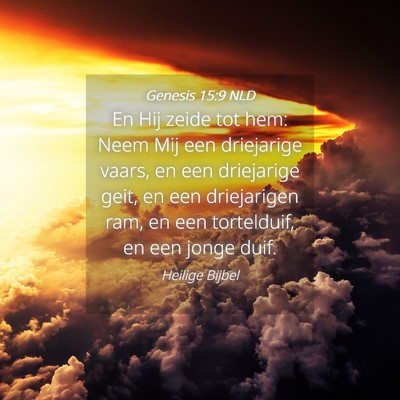 Picture 04 - Genesis 15:9 NLD - En Hij zeide tot hem: Neem Mij een driejarige - Bible Verse Picture