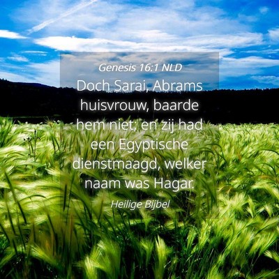 Picture 04 - Genesis 16:1 NLD - Doch Sarai, Abrams huisvrouw, baarde hem niet; en - Bible Verse Picture