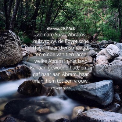 Picture 04 - Genesis 16:3 NLD - Zo nam Sarai, Abrams huisvrouw, de Egyptische - Bible Verse Picture