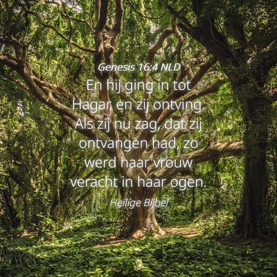 Picture 04 - Genesis 16:4 NLD - En hij ging in tot Hagar, en zij ontving. Als zij - Bible Verse Picture