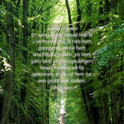Picture 04 - Genesis 17:20 NLD - En aangaande Ismael heb Ik u verhoord; zie, Ik - Bible Verse Picture