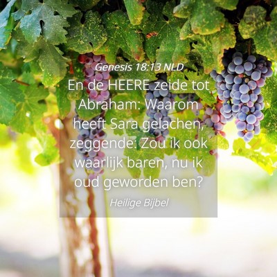 Picture 04 - Genesis 18:13 NLD - En de HEERE zeide tot Abraham: Waarom heeft Sara - Bible Verse Picture