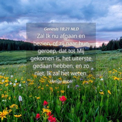Picture 04 - Genesis 18:21 NLD - Zal Ik nu afgaan en bezien, of zij naar hun - Bible Verse Picture