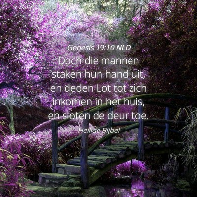 Picture 04 - Genesis 19:10 NLD - Doch die mannen staken hun hand uit, en deden Lot - Bible Verse Picture