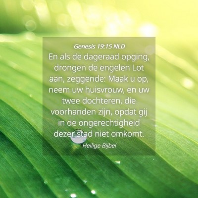 Picture 04 - Genesis 19:15 NLD - En als de dageraad opging, drongen de engelen Lot - Bible Verse Picture