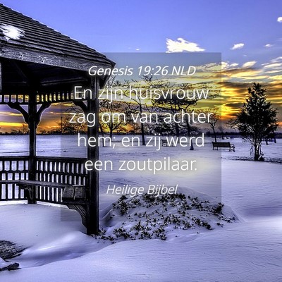 Picture 04 - Genesis 19:26 NLD - En zijn huisvrouw zag om van achter hem; en zij - Bible Verse Picture