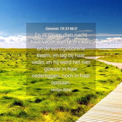 Picture 04 - Genesis 19:33 NLD - En zij gaven dien nacht haar vader wijn te - Bible Verse Picture