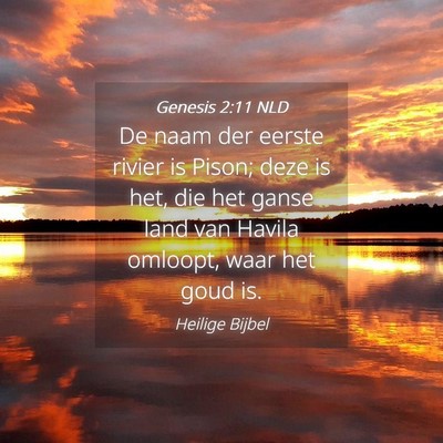 Picture 04 - Genesis 2:11 NLD - De naam der eerste rivier is Pison; deze is het, - Bible Verse Picture