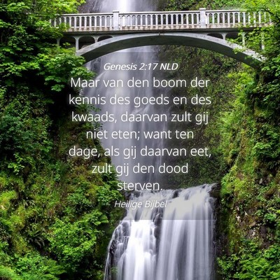 Picture 04 - Genesis 2:17 NLD - Maar van den boom der kennis des goeds en des - Bible Verse Picture