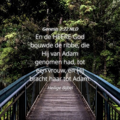 Picture 04 - Genesis 2:22 NLD - En de HEERE God bouwde de ribbe, die Hij van Adam - Bible Verse Picture