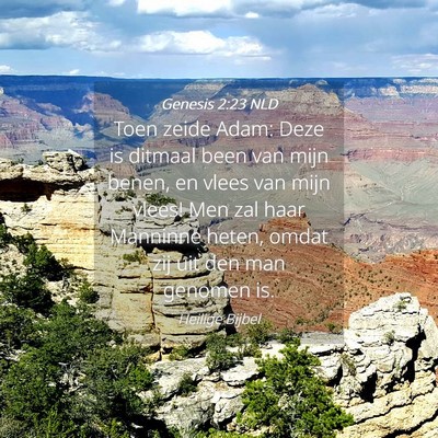 Picture 04 - Genesis 2:23 NLD - Toen zeide Adam: Deze is ditmaal been van mijn - Bible Verse Picture
